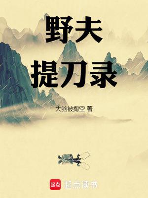 野夫提刀录无防盗