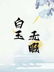 白玉白玉无瑕打一个字