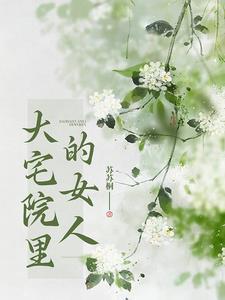 大宅院的女人结局