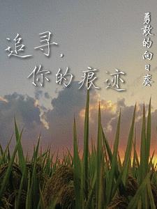 追寻你的踪迹