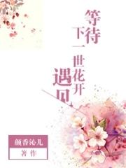 等待下一次花开什么歌